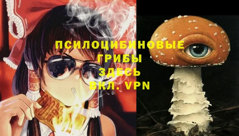 Галлюциногенные грибы Magic Shrooms  мега как зайти  Дальнегорск 